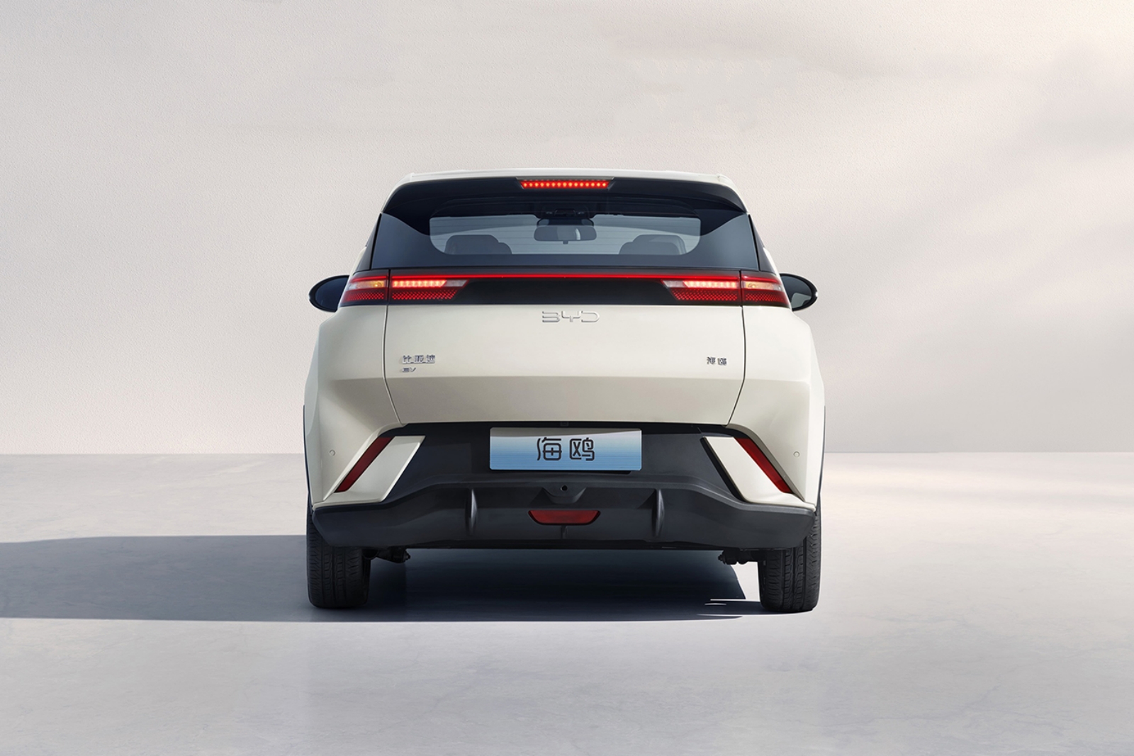 2025款比亞迪海鷗